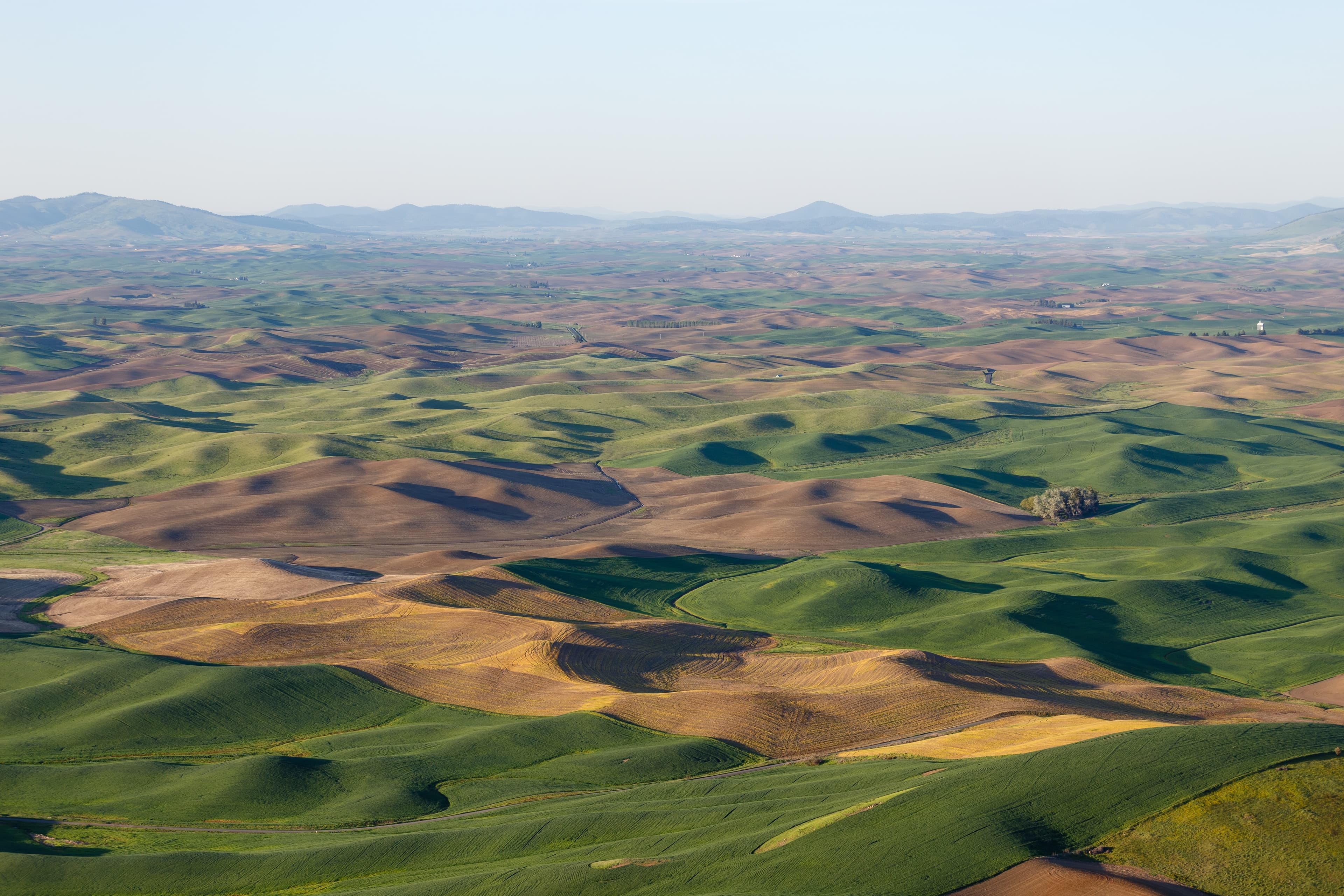 Idaho Palouse rolling hills